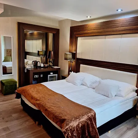 多瑙花园酒店 布达佩斯