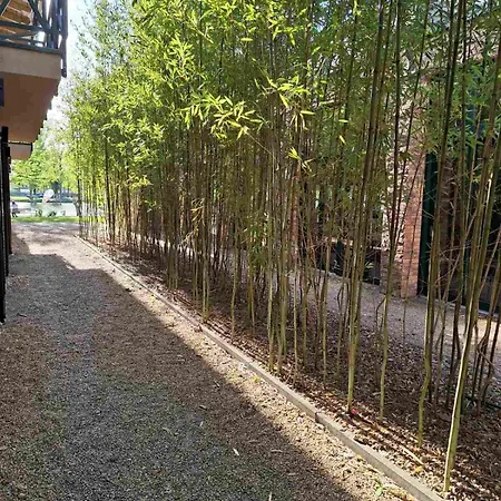 多瑙花园酒店 酒店 4*